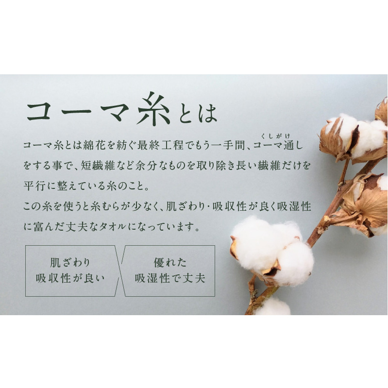 コーマカラーフェイスタオル12枚セット（スレイトグレー）泉州タオル【泉州タオル 国産 吸水 普段使い 無地 シンプル 日用品 家族 ファミリー】 099H3193_イメージ3