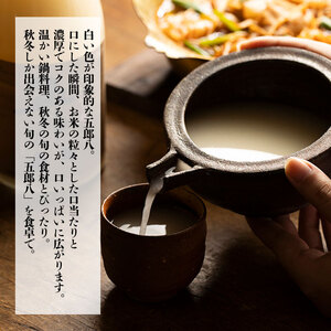 【秋冬限定】 日本酒 にごり酒 五郎八 1,800ml 2本詰 酒 日本酒 さけ 日本の 酒 菊水 四合瓶 地酒 新潟 新発田 菊水 日本酒 E74_01