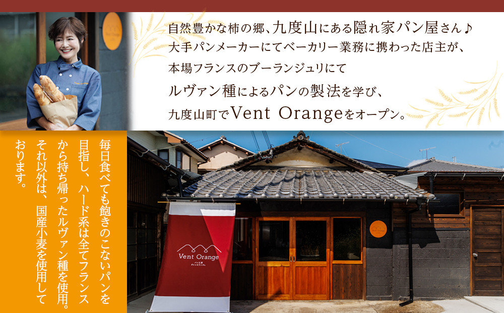 【定期便 全6回 毎月発送】 国産小麦 使用 湯種食パン 2斤 パン工房 ヴァン・オランジュ
