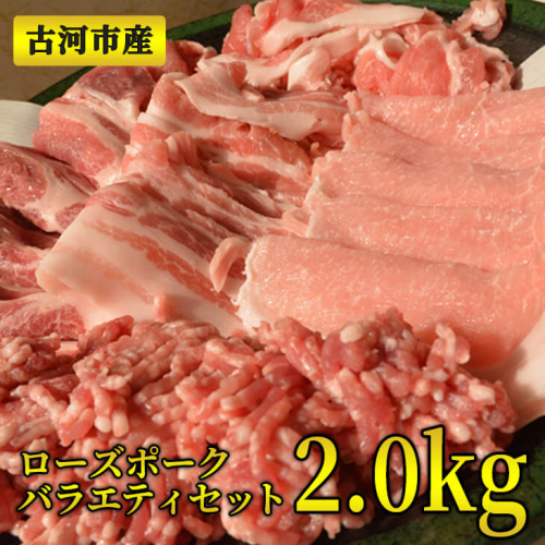 古河市産ローズポークバラエティセット2.0ｋｇ【全国銘柄食肉コンテストで最優秀賞を受賞】| 肉 豚肉 ブランド 冷凍  BBQ 小分け 食べ比べ 食べくらべ ロース 肩ロース ひき肉 切り落とし セット商品 焼肉 ハンバーグ  詰め合わせ  ギフト 贈答 贈り物 お中元 お歳暮 プレゼント 茨城県 古河市 直送 産地直送 送料無料 _AD01