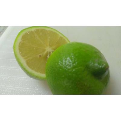 ふるさと納税 観音寺市 【2026年度】露地栽培グリーンレモン　フリーサイズ(S〜L)　約2.5kg |  | 01