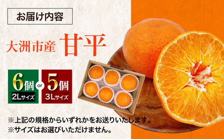 甘平（5-6個）【2026年2月上旬から順次発送】甘平（5から6個）かんぺい [AGBA005]