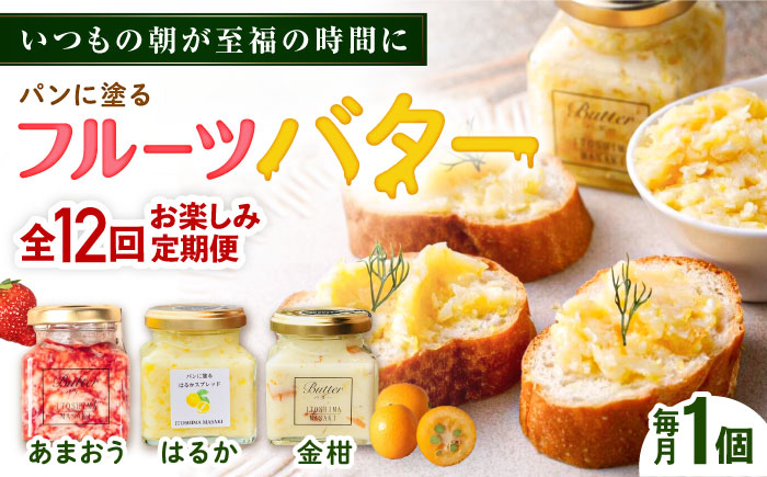 
                  【全12回定期便】お楽しみ定期便 フルーツバター大1個 糸島市/糸島正キ ジャム クリーム 果物 [AQA064]
                