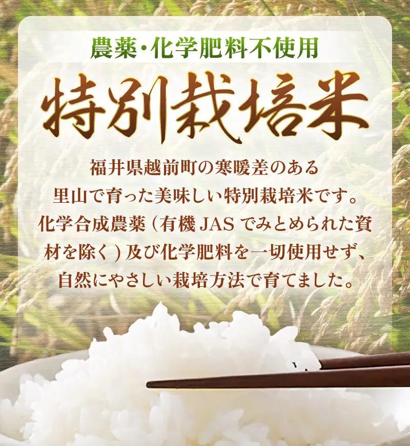 新米【令和8年産 】 特別栽培米コシヒカリ5kg 農薬化学肥料不使用（白米）【10月中旬以降発送】 [e81-b003_01]