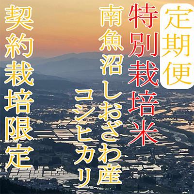 ふるさと納税 南魚沼市 【発送月固定定期便】【特別栽培米6Kg】生産者限定 南魚沼しおざわ産コシヒカリ全6回 |  | 02