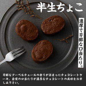 【訳あり】ご自宅用！半生ちょこ　合計17個【A-1596H】