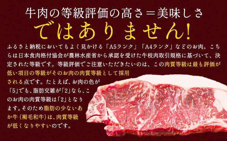 ステーキ 赤身 牛肉 サーロインステーキ 送料無料 あか牛 小分け 熊本県産 500g ( 250g x 2枚 ) 《30日以内に出荷予定(土日祝除く)》