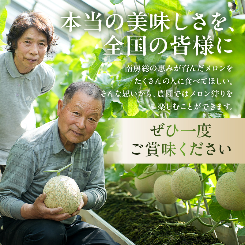 お漬物にぴったり　安田農園の摘果メロン（子メロン）1kg 子メロン ベイビーメロン 摘果 浅漬け 漬物 サラダ 加工用