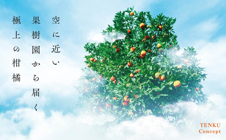 【 訳あり 】 天空 の 果樹園 から届く そら みかん ( 10kg )【C45-28】【1339407】