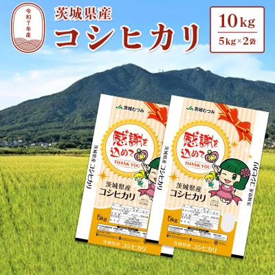 ふるさと納税 境町 【令和7年産】茨城県産 コシヒカリ20kg (10kg×2袋) 白米 JA茨城むつみ こしひかり K
