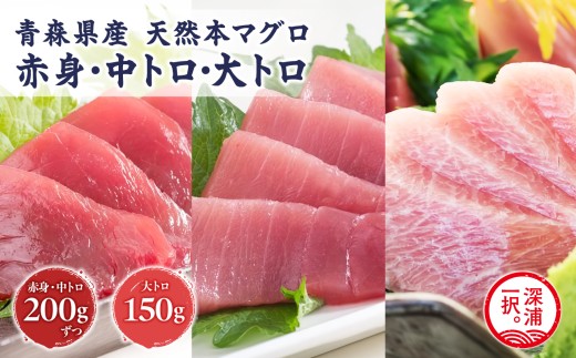 天然 本マグロ 赤身 中トロ 大トロ 3種セット