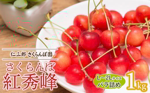 【令和7年産先行予約】 さくらんぼ 紅秀峰 L～2Lサイズ 混合バラ詰め 1kg 山形県鶴岡産　仁三郎さくらんぼ園