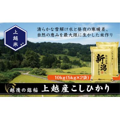ふるさと納税 上越市 【新米　令和8年産】【食味鑑定士厳選】　新潟県上越市産こしひかり　合計10kg