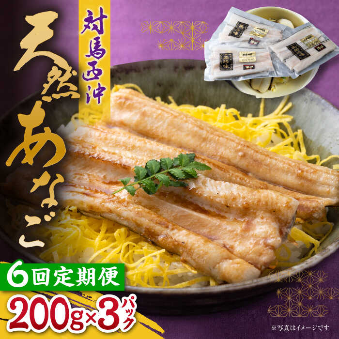 【ふるさと納税】【全6回定期便】対馬産 西沖あなご 200g×3パック《対馬市》【保家商事】 あなご 穴子 アナゴ 海鮮 海産物 魚介[WAA026]