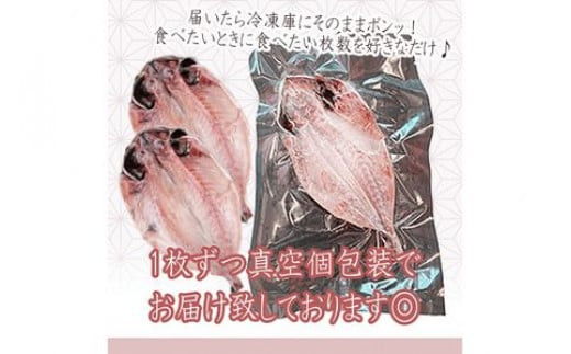 【水産事業者を応援しよう！】小田原名物「干物」をさまざまな魚でそれぞれのおいしさを。小田原干物 選りすぐり10枚セット【惣菜 魚 ひもの 選りすぐり10枚セット こだわりの逸品 おすすめの10枚セット