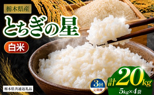 【先行予約】【定期3回】 とちぎの星（白米）約 20kg 栃木県共通返礼品｜とちぎの星 米 白米 おいしい お米 こめ おこめ 白米 精米 国産 ごはん ご飯 白飯 米 おこめ 白米 精米ゴハン ランキング 人気  ふるさと 納税 栃木県 那珂川町 送料無料