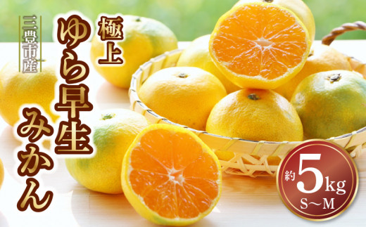 みかん 極上 ゆら早生みかん 約5kg S～Mサイズ  [ おいしい 甘い 新みかん 秋 旬 知る人ぞ知る！ 濃厚 果物 果実 フルーツ 果汁 送料無料 お取り寄せ ギフト 柑橘類 柑橘 讃岐 さぬき 香川県 三豊市 ]