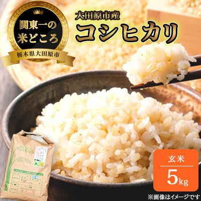 ふるさと納税 大田原市 【令和7年産新米 数量限定】古谷農産 栽培期間中農薬・化学肥料不使用 コシヒカリ 玄米 5kg
