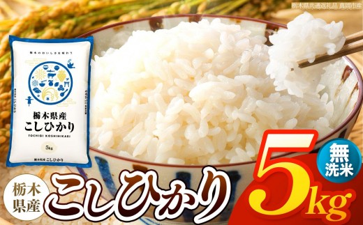 【令和8年産 新米】 栃木県産 お米 こしひかり　（無洗米） 5kg 【2026年秋以降発送】 |  栃木県 矢板市 【栃木県共通返礼品 真岡市産】