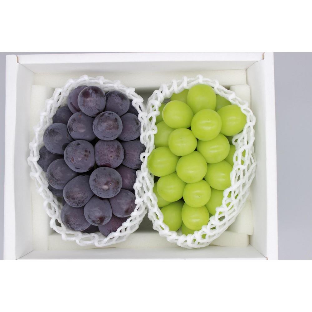 【ふるさと納税】シャインマスカット＆ニューピオーネ　計約1.2kg(各1房）【2026年発送】 | フルーツ 果物 くだもの ぶどう ブドウ シャインマスカット ニューピオーネ 国産 岡山県産 食品 人気 おすすめ 先行予約 送料無料 ギフト 贈り物 贈答品 プレゼント