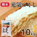 【ふるさと納税】元気つくし 10kg 精米 米 お米 コメ ごはん ご飯 おこめ こめ 白米 備蓄 長持ち 防災 夕食 晩ごはん 地震 緊急 避難 福岡 川崎