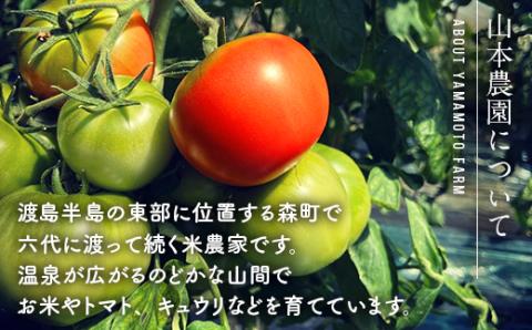 【先行予約】箱いっぱい詰め！情熱トマト 約4kg（9月下旬より順次発送）《山本農園》 森町 トマト 北海道産 ふるさと納税 北海道 mr1-0137