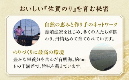 【全12回定期便】カット海苔（10袋入り）佐賀海苔 味付け海苔[HAT020]
