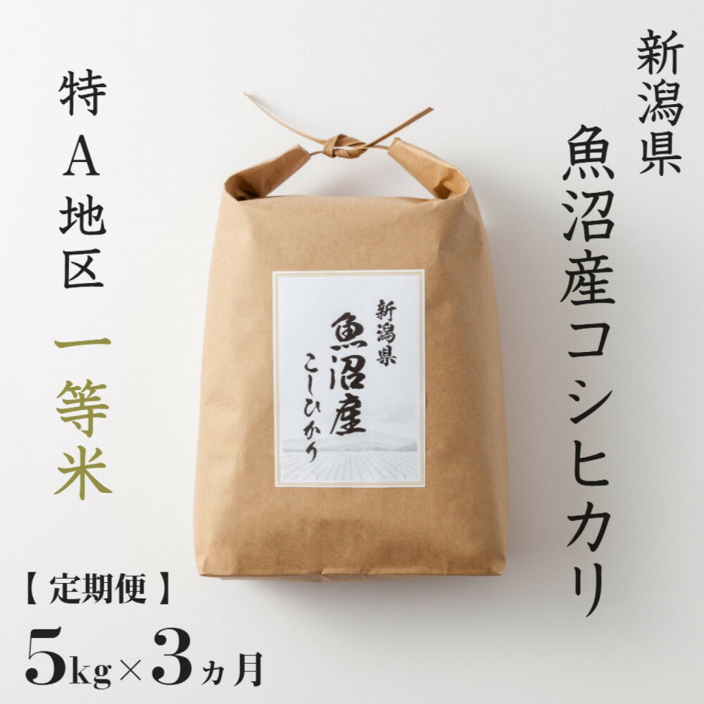 【ふるさと納税】【 定期便 】 5kg × 3ヶ月 特A 一等米 魚沼産 コシヒカリ 令和7年産　新潟　新潟県　こしひかり　魚沼　特A地区　5キロ　頒布会 | お米 こめ 白米 食品 人気 おすすめ 送料無料