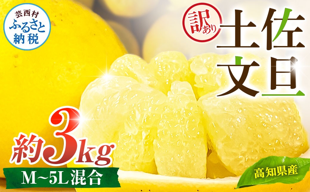 
                  先行予約 訳あり 土佐文旦 家庭用 約3kg 約4～10玉 M～5L混合サイズ 高知県産 文旦 ブンタン ぶんたん 柑橘 かんきつ 蜜柑 みかん 柑橘類 フルーツ 果物 くだもの デザート おやつ 爽やか 甘い ジュース スイーツ 美味しい おいしい
                