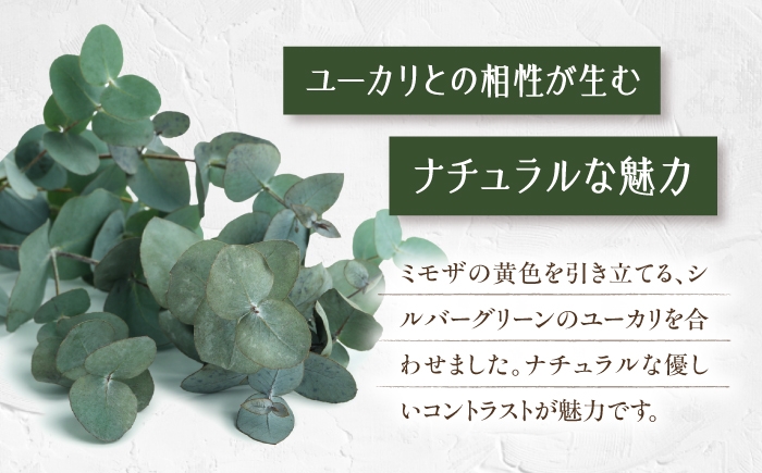 ミモザ スワッグ ユーカリ 花飾り 花 インテリア 雑貨 花束 ドライフラワー