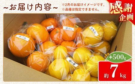 ＜笑丸のお楽しみ柑橘福袋（家庭用）約7kg＋500g＞感謝企画 自宅用 訳あり 果物 くだもの フルーツ ミカン みかん 蜜柑 高級柑橘 詰め合わせ 春柑橘 春みかん 夏柑橘 特産品 笑丸 愛媛県 西