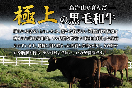 秋田由利牛 しゃぶしゃぶ用 ロース 1.2kg（300g×4パック）