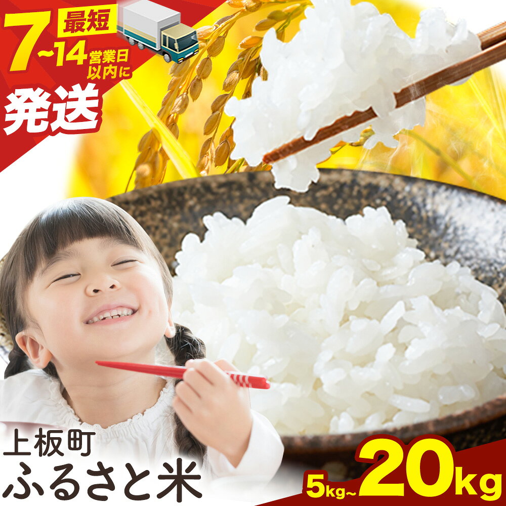 【ふるさと納税】もちもち美味しい！ ふるさと応援米 精米 5kg~20kg 《出荷時期をお選びください》徳島県 上板町 お米 米 白米 送料無料