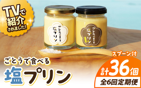 【全6回定期便】ごとうで食べる塩プリン6個 椿スプーン付き[RBA049] プリン スイーツ 塩 定期便 プリン スイーツ 塩 定期便 プリン スイーツ 塩 定期便 プリン スイーツ 塩 定期便九州 長崎