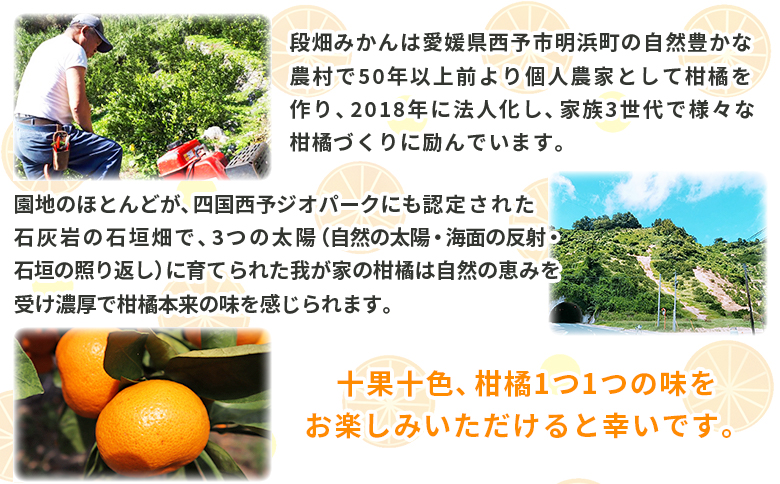 ＜愛媛県西予市産 温州みかん 家庭用 約5kg＞ 果物 くだもの うんしゅうみかん ウンシュウミカン ミカン 蜜柑 柑橘 フルーツ 自宅用 訳あり 旬 特産品 産地直送 段畑みかん株式会社 愛媛県 西予市