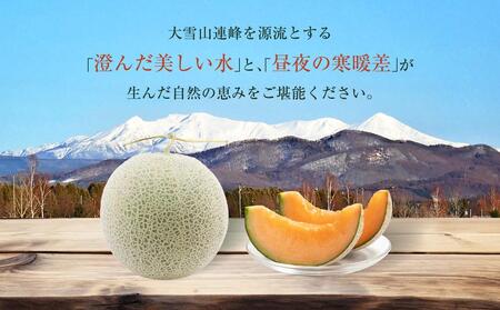 【先行予約】 北海道産赤肉メロン約1.6kg×2玉 (2024年7月中旬から発送予定) 【 果物 くだもの フルーツ メロン 赤肉 赤肉メロン 旬 お取り寄せ 甘い 北海道産 旭川市 北海道 送料無料