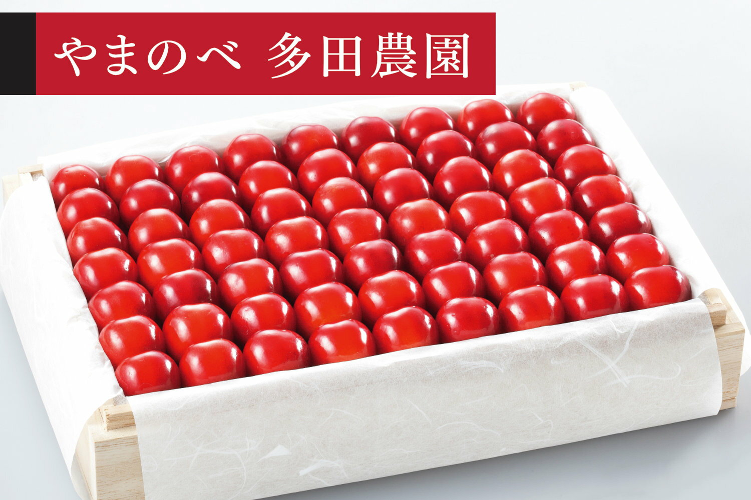 【ふるさと納税】《先行予約》2026年 山形県産 やまがた紅王 特選桐箱詰約1100g やまのべ多田耕太郎のさくらんぼ 送料無料 tn-ybxxk1100