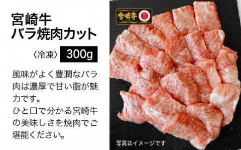 宮崎牛 特上セット 800g　牛肉[G7420]