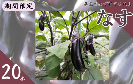 なすび　20本　4-166