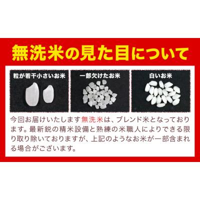 ふるさと納税 笠岡市 おかやま無洗米 メール便 1合《30日以内に出荷予定(土日祝除く)》岡山県 笠岡市 使い切り |  | 03