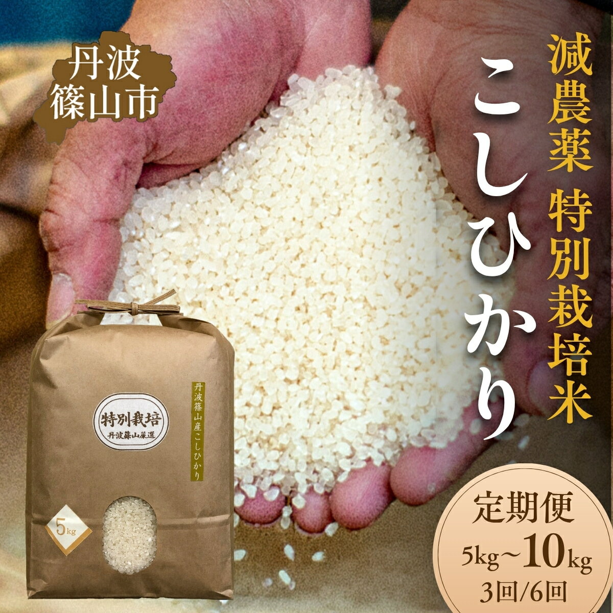 【ふるさと納税】【定期便】令和7年産 丹波篠山 コシヒカリ 特別栽培米 5kg 10kg×3回 6回お届け 低温貯蔵 香り良い 美味しいお米 国産米 白米 丹波篠山