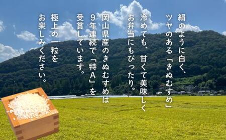 【令和8年産】 新米 岡山ほたる米 きぬむすめ 精米5kg (岡山県真庭産) 【KF-R003-01】