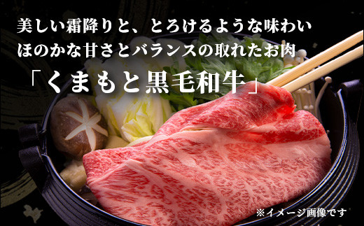 《限定増量》 くまもと黒毛和牛 切り落とし 1kg + DREAMバーグ 150g×3個 【合計1450g】