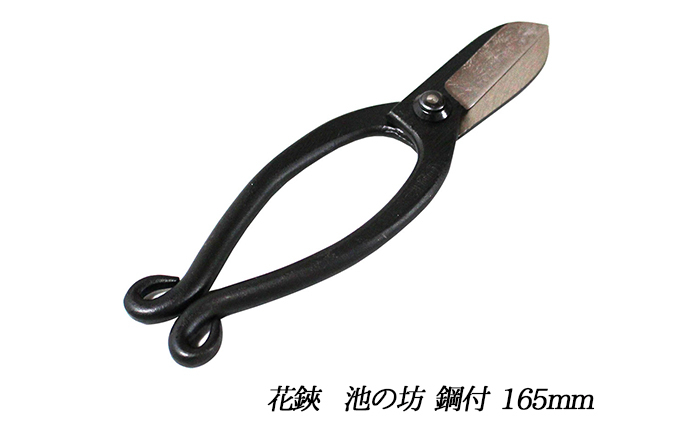 
            国栄 池の坊 花鋏 5.5寸（165mm）鋼付 イブシ ワラビ 生け花 生花
          