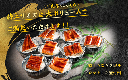 【12月発送】国産 うなぎ蒲焼 特上うなぎ2尾 550g以上 山椒付き 鰻 ウナギ たれ タレ たっぷり うな重 鰻重 ひつまぶし
