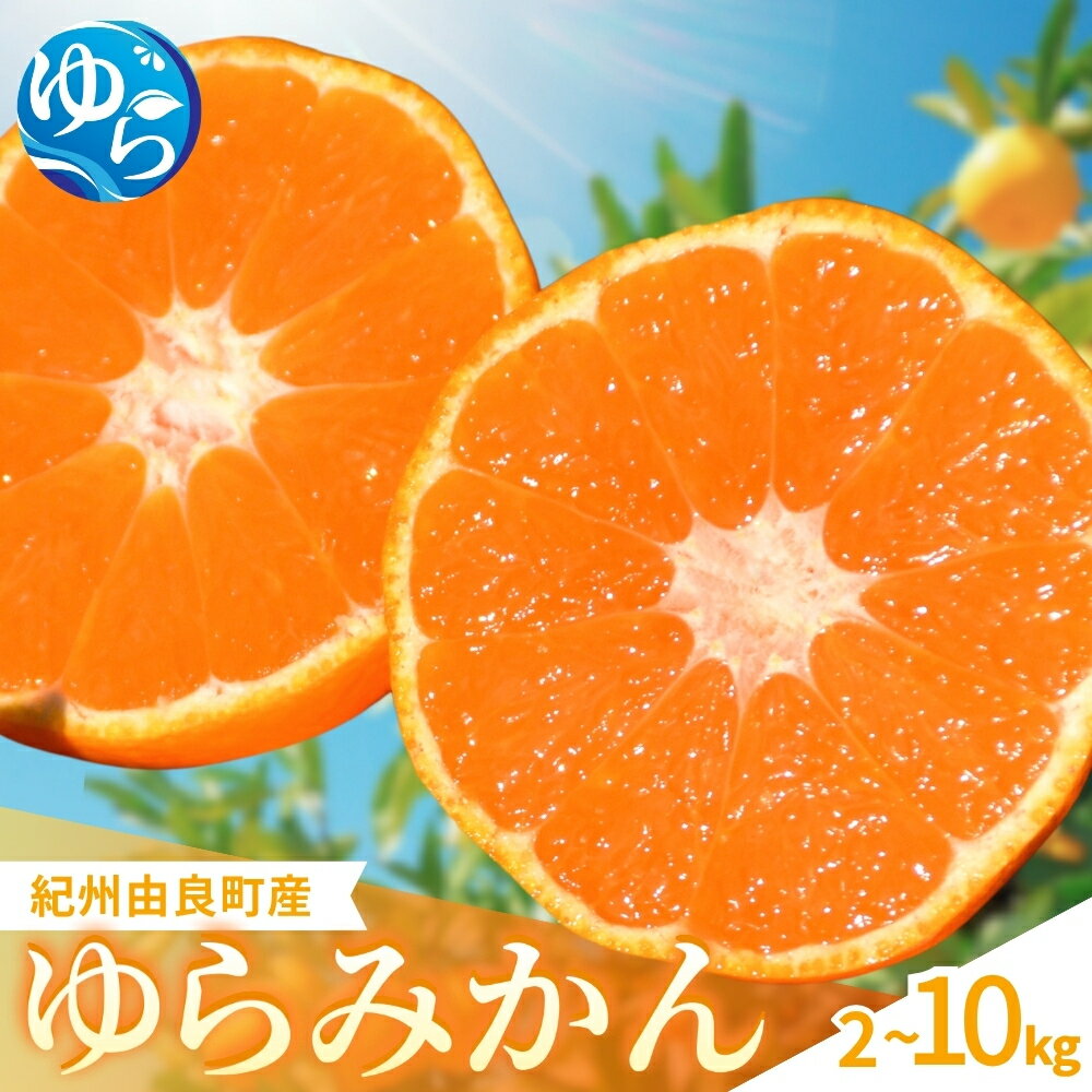 【ふるさと納税】 ゆらみかん / 温州 みかん 和歌山 由良町 早生 サイズ混合 甘い / 2kg 5kg 10kg ※2026年11月下旬頃から12月上旬頃に順次発送予定