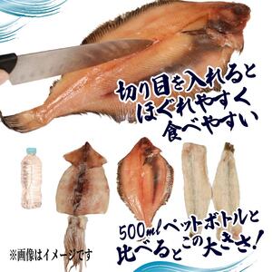 海の幸セット A-3 【ギスの塩干し2～3枚､干しカレイ 3～4枚､スルメイカ一夜干し 2枚､イカの塩辛 1パック】 冷凍