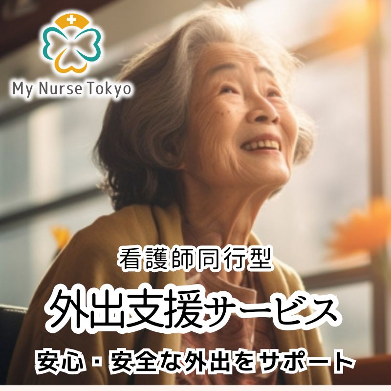【ふるさと納税】看護師同行 外出支援サービス 2時間コース 介護旅行 医療従事者 看護師 チケット