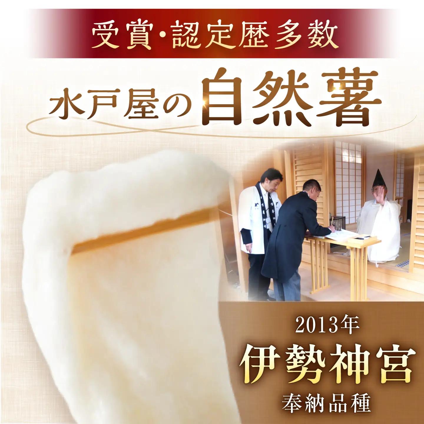 自然薯 中（800g） / 恵那市 / 水戸屋 [AUFZ009] 自然薯