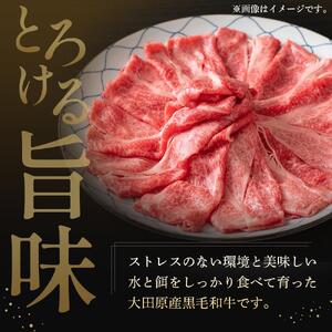 大田原産 黒毛和牛 肩 すき焼き・しゃぶしゃぶ用　500g×2